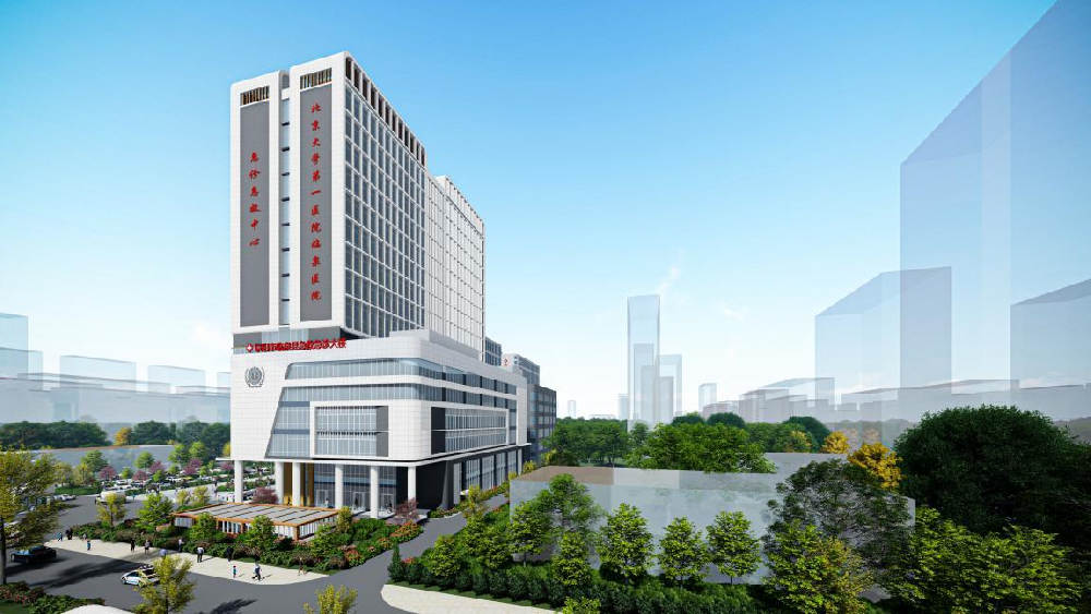临泉县人民医院医共体建设项目（急诊中心急救大楼智能化建设项目）