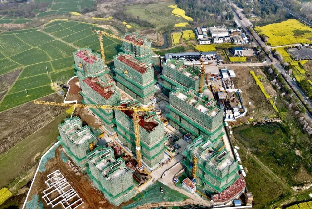 肥西县城乡一体化发展花岗、柿树岗乡等片区项目一标段柿树岗山南紫蓬项目EPC德上高速家园项目智能化建设项目