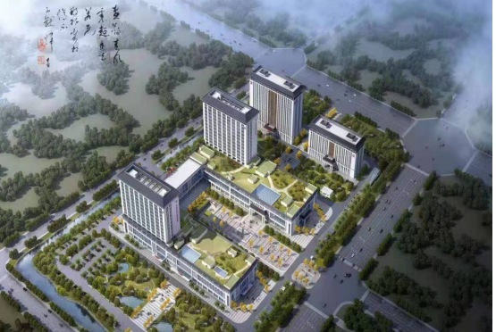 安徽省定远县妇幼保健院（新区）智能化建设增补项目